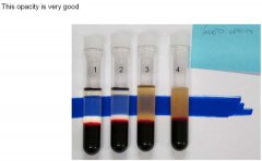 Vial Spec 12.01.10 - Epoxy